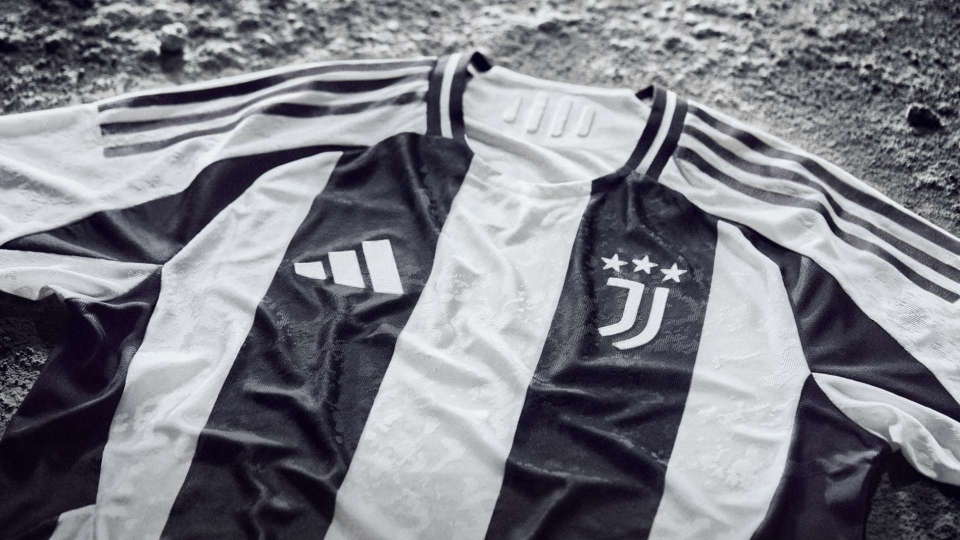 团结一致的 团结一致的