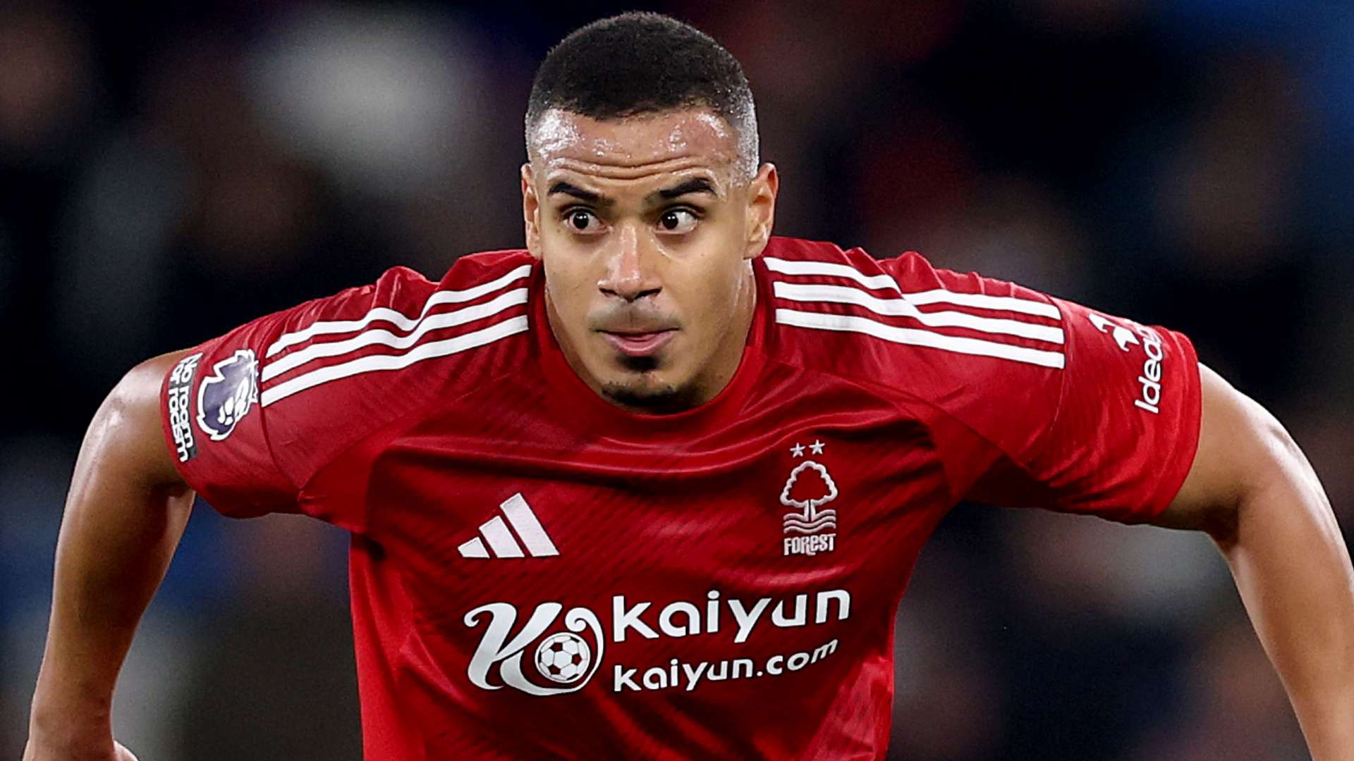 嗅觉和出色 嗅觉和出色